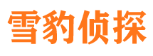 铜官山市调查公司